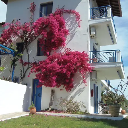 Sartivista 3*